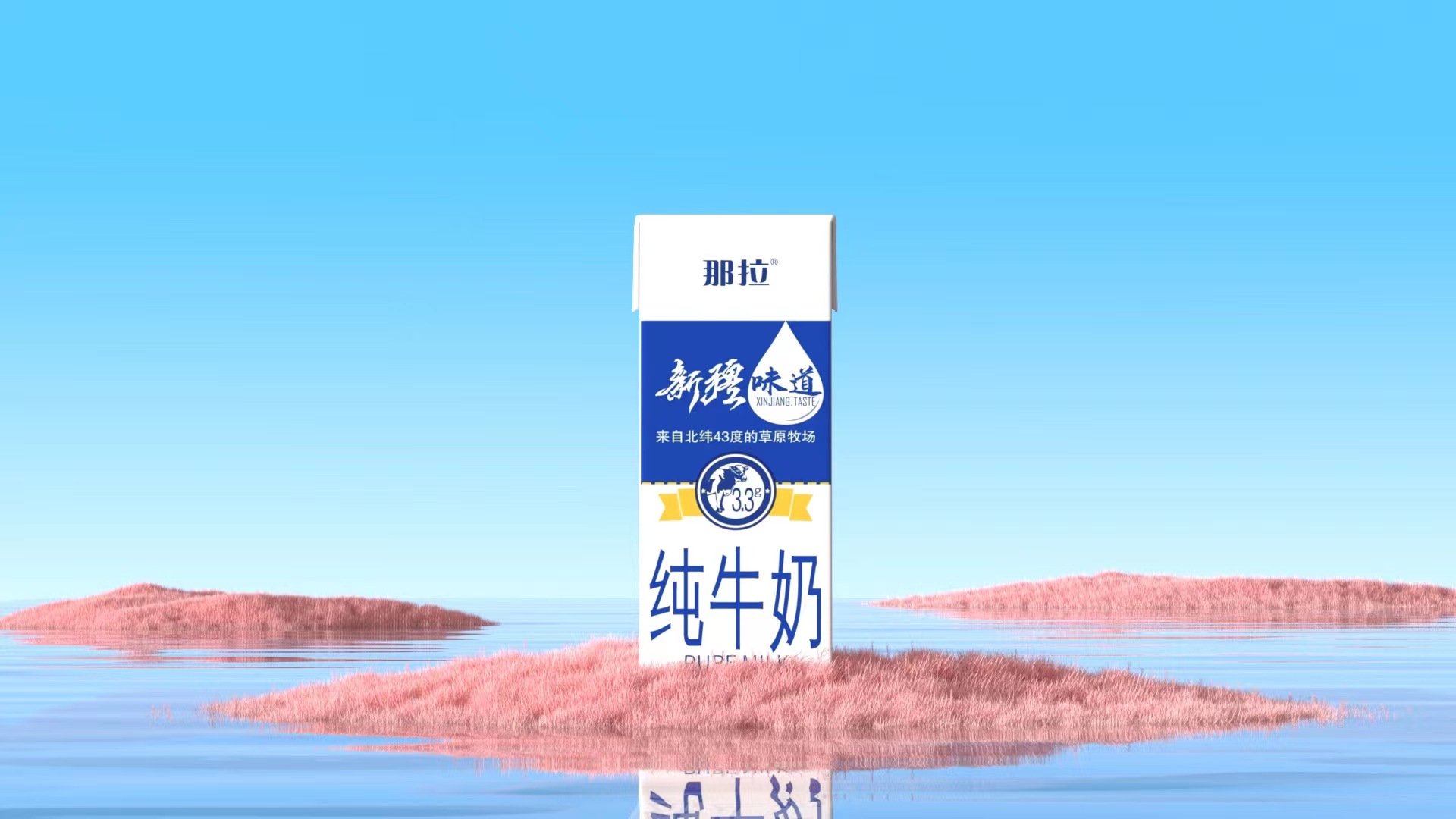 【上新了！】新品快來看看吧！